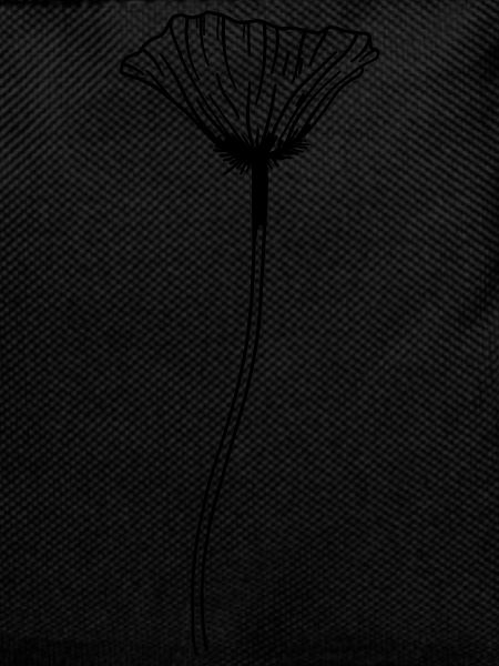 Mohn Blume