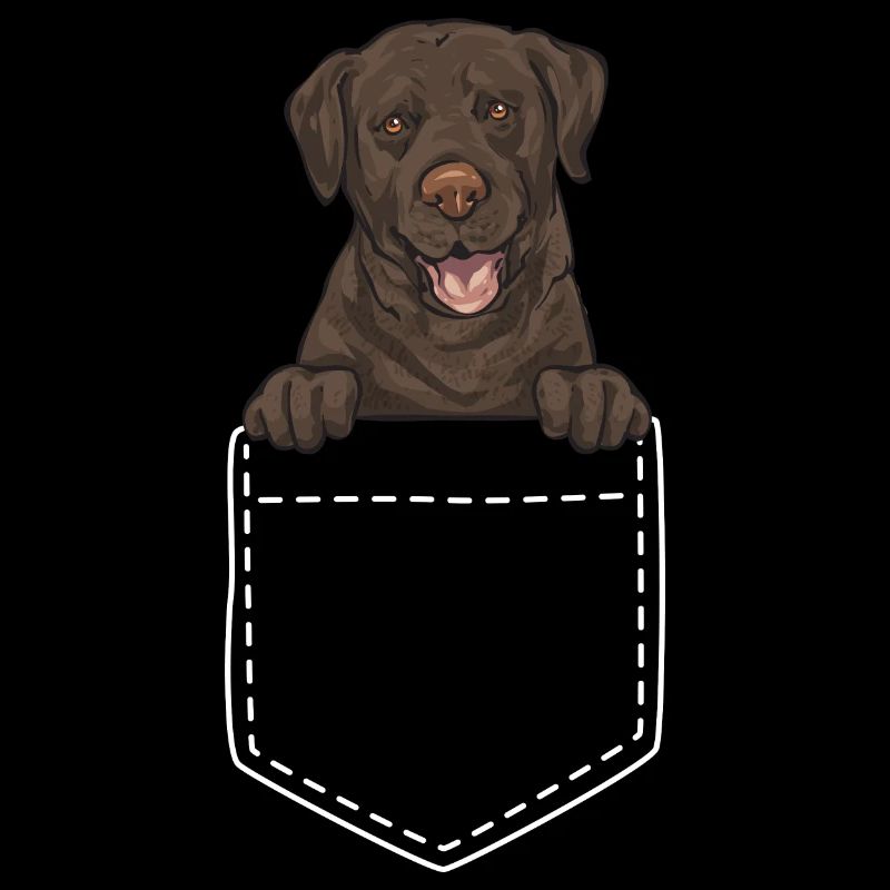 Chocolate Brown Labrador Retriever Dog