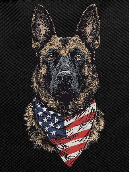 Belgischer Malinois
