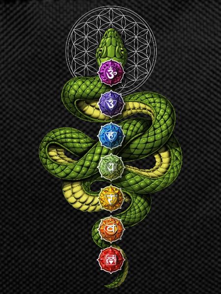 Kundalini Chakras