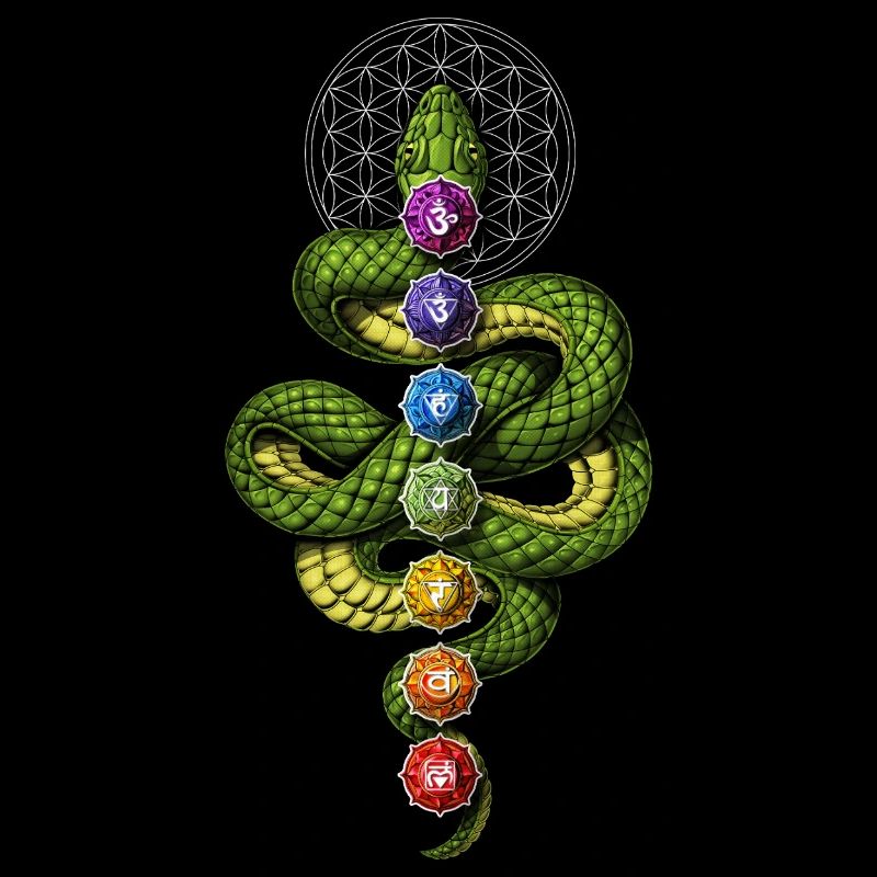Kundalini Chakras