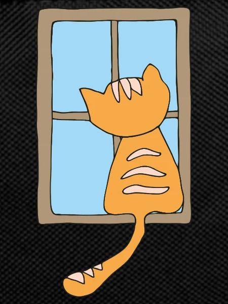 Cat at the window