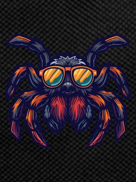 spider tarantula animal