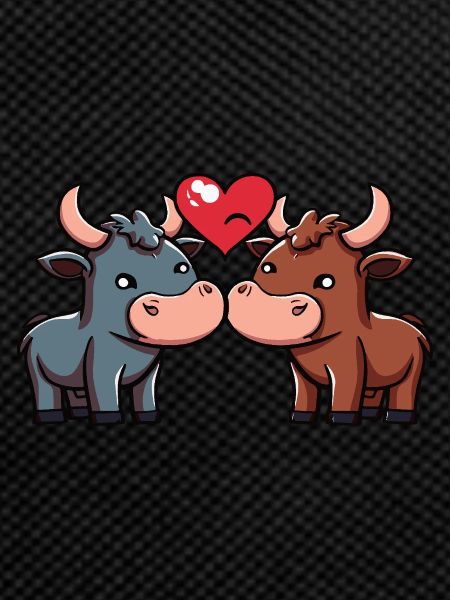 Taurus Couple Valentine's Day