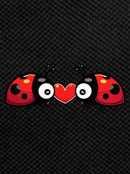 Ladybug Couple Valentine's Day