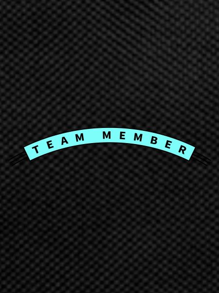 Team Member