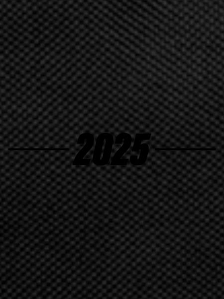 2025 year