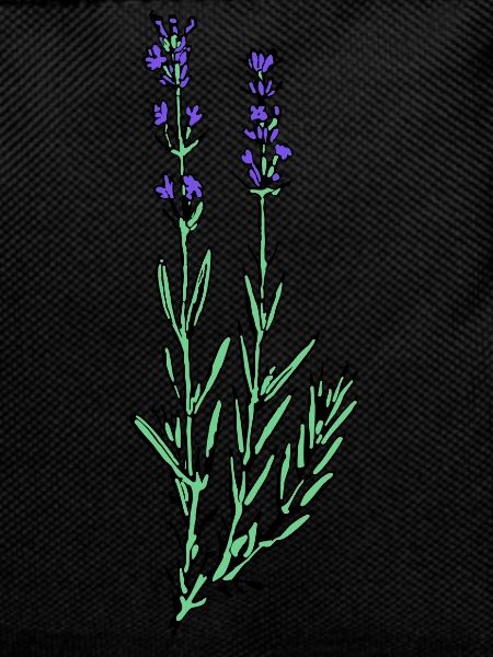 Lavendel