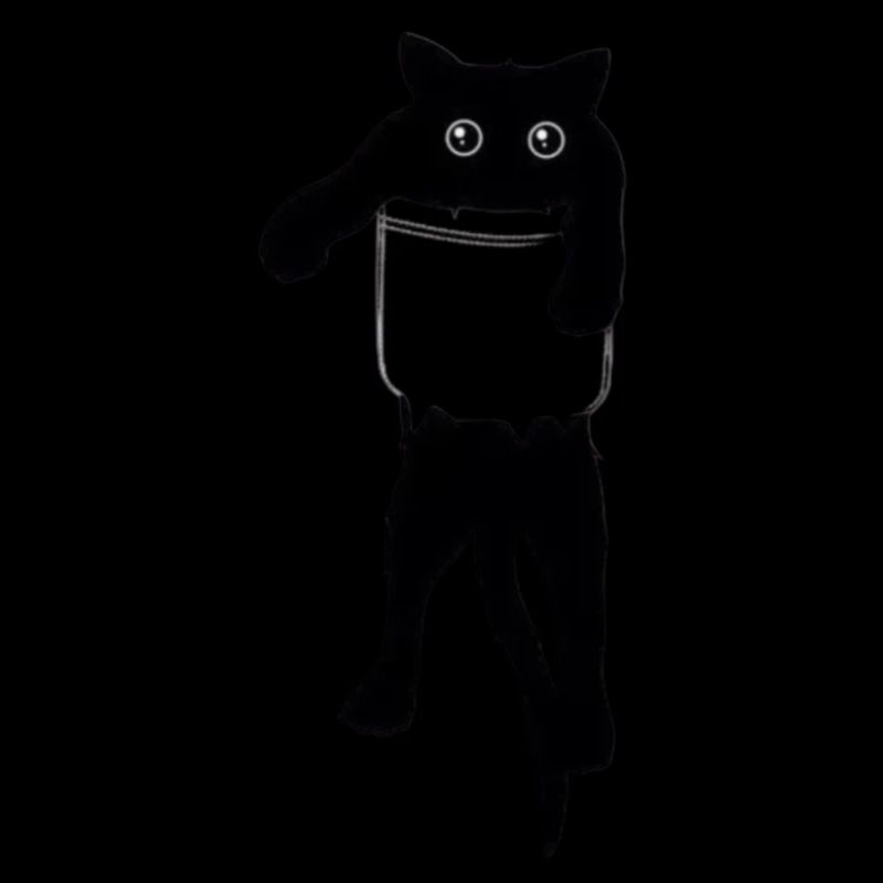 Cat in pocket