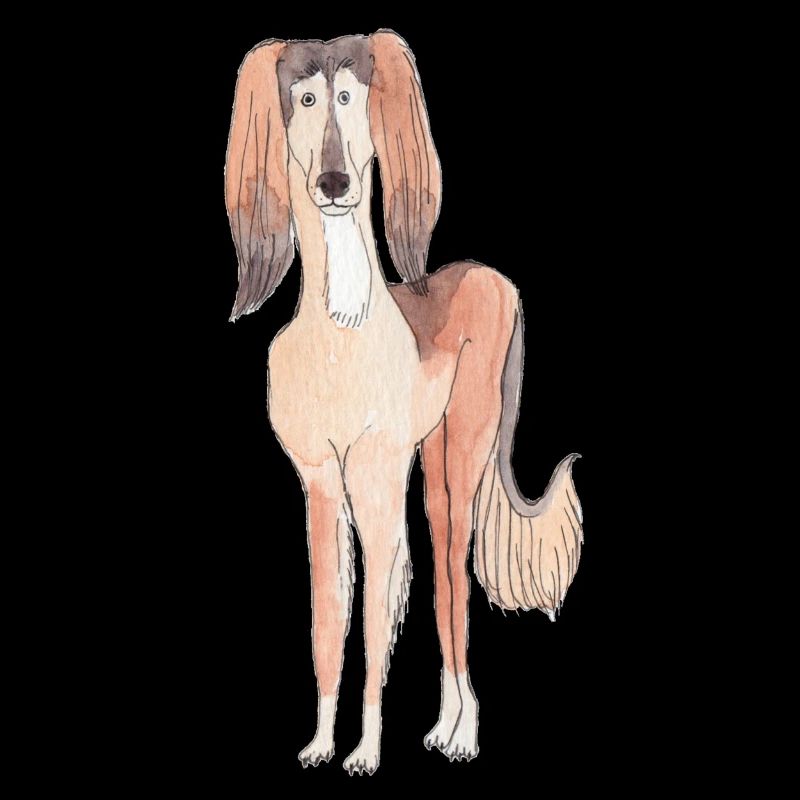 Saluki Fun