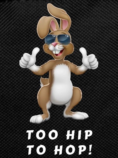 Too Hip to Hop