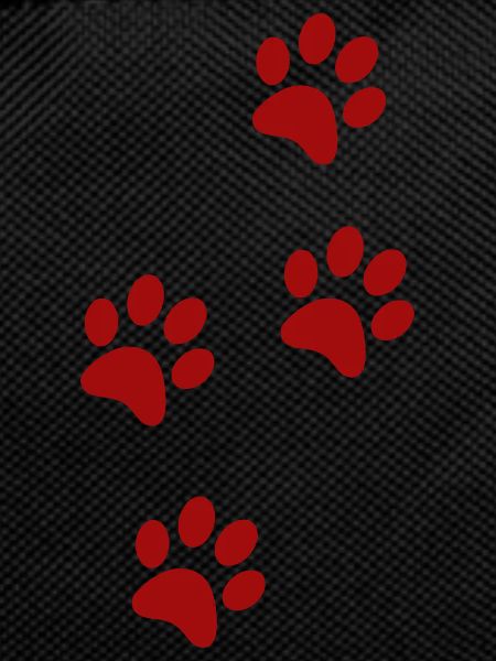 Traces de pattes