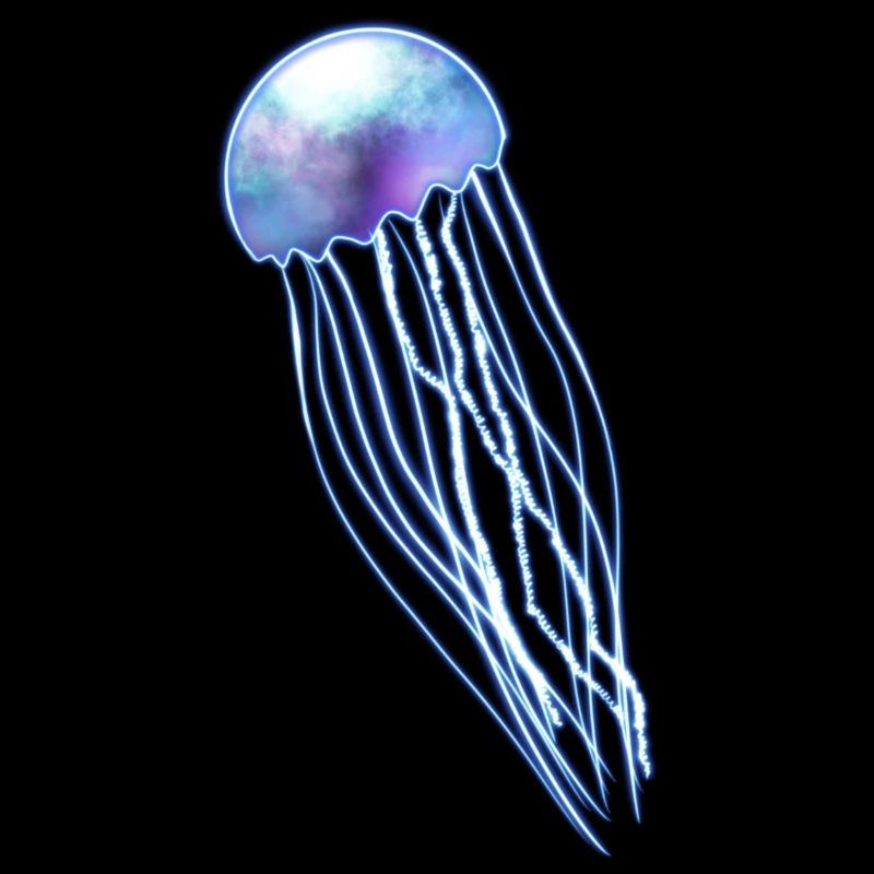 Blue jellyfish