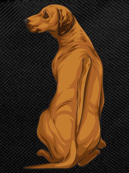 Rhodesian Ridgeback Dog Gift