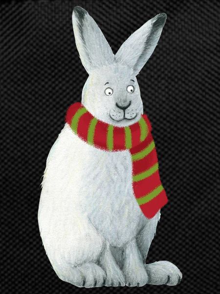 Arctic hare
