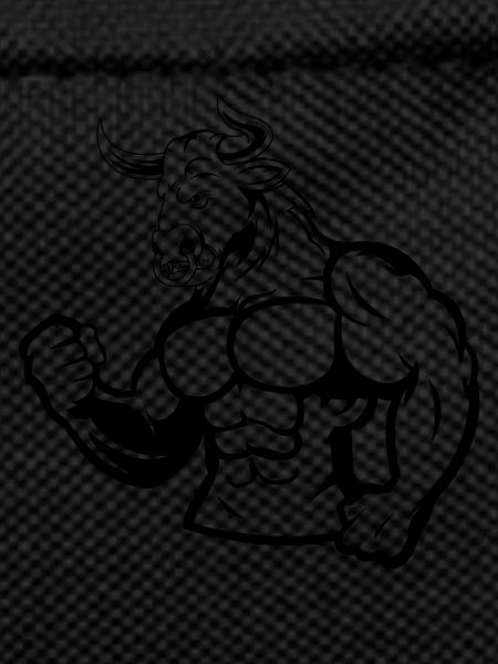 Taurus Fitness