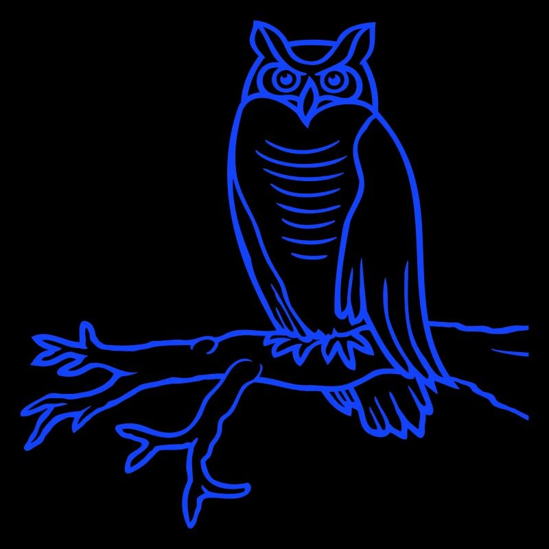 Eule Vogel Uhu Ast Baum Wald Schleiereule Kauz süß