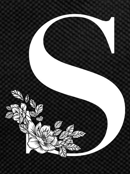 Letter S