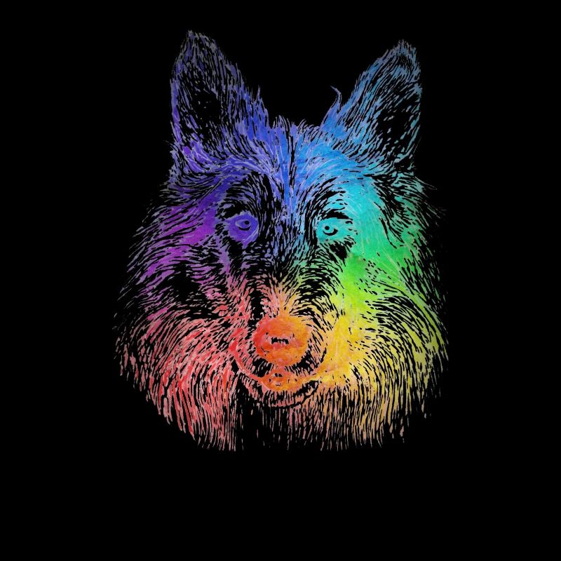 rainbow dog
