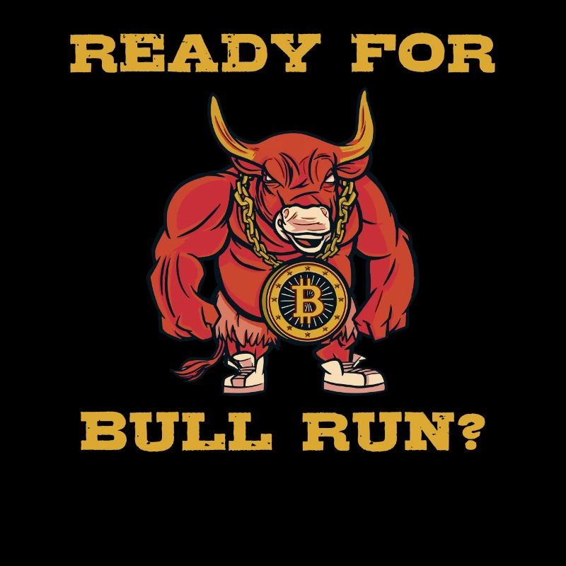 Bull run Bitcoin BTC Krypto Blockchain Miner