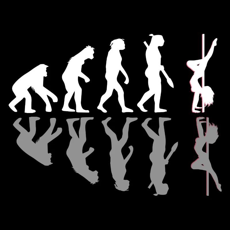 Pole Dance Evolution Geschenk Schatten
