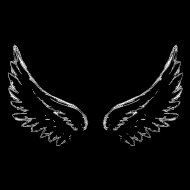 Ailes d'ange ou démon