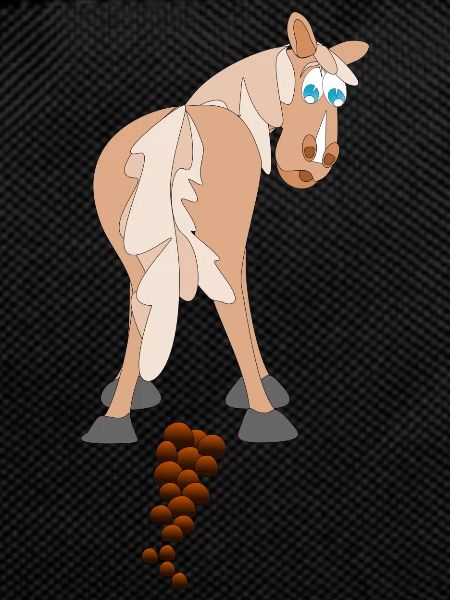 Horse Dung