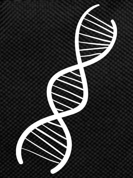 DNA Genetics Genetics Biology DNA