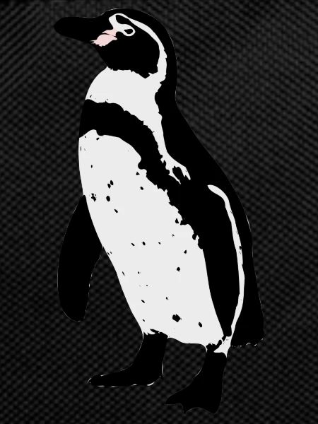 Humboldt Penguin