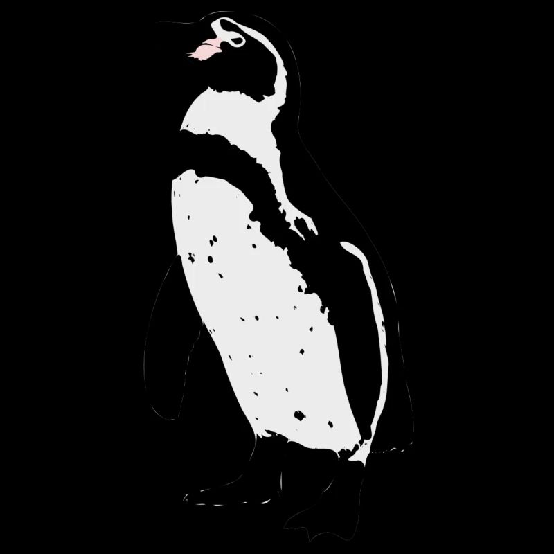 Humboldt Penguin