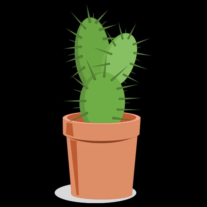 Prickly cactus