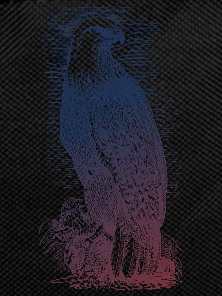 Adler