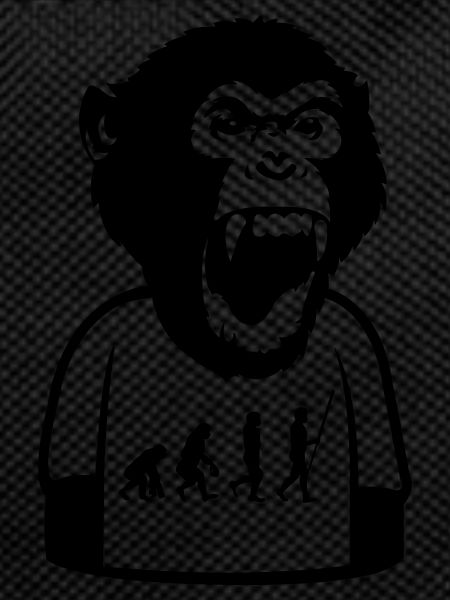 Affe Evolution