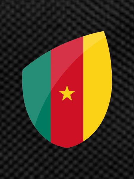 Drapeau Cameroun