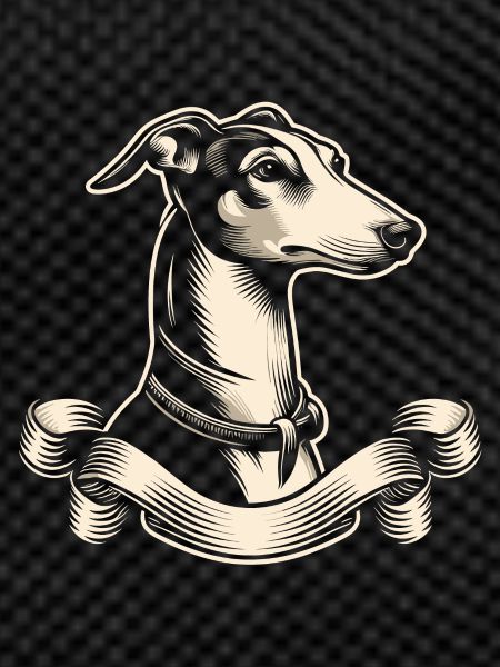 Whippet