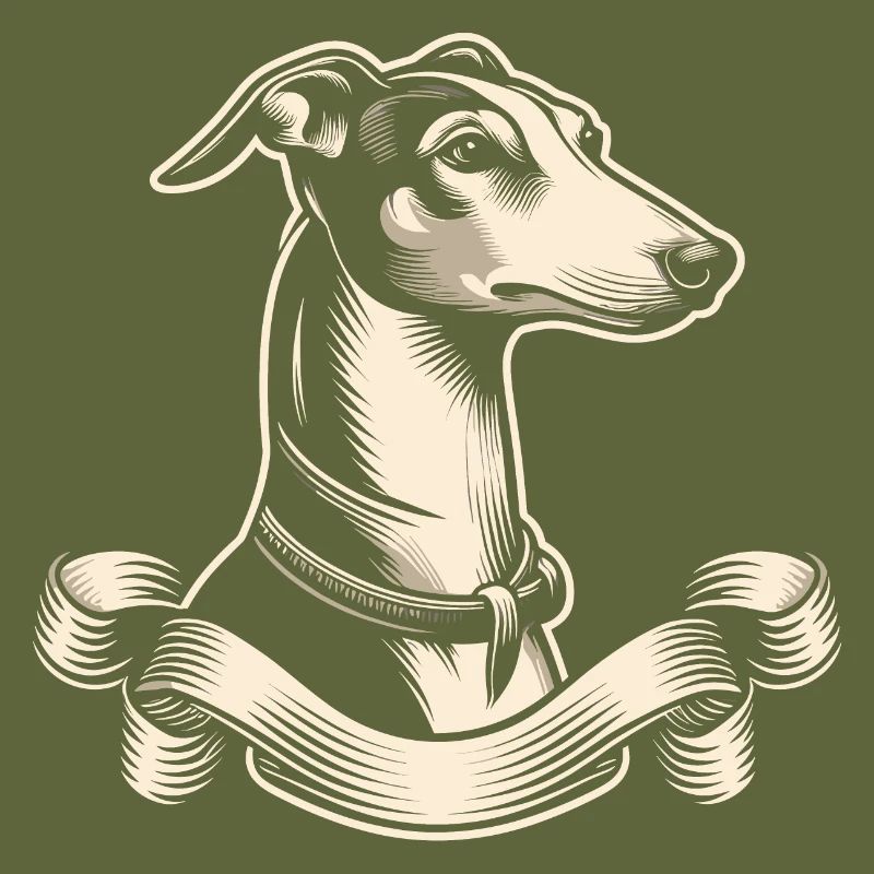 Whippet