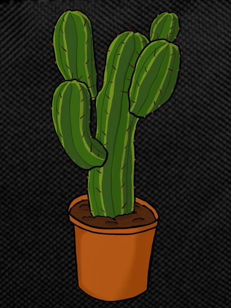Cactus