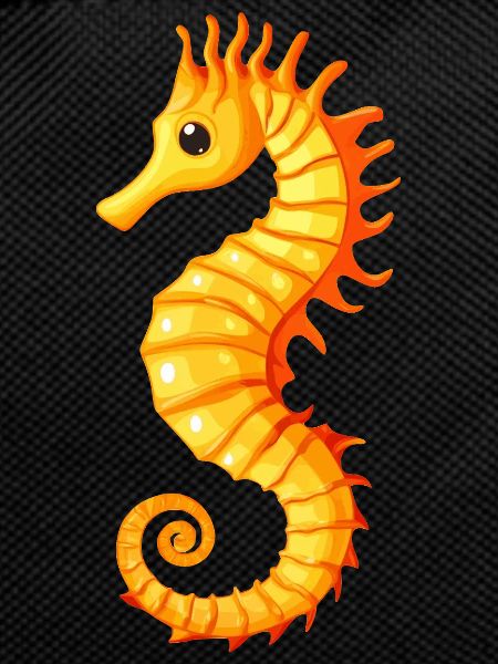 Sea horse