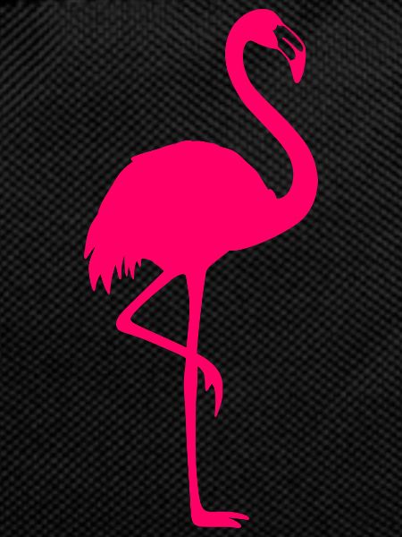 Pink Flamingo