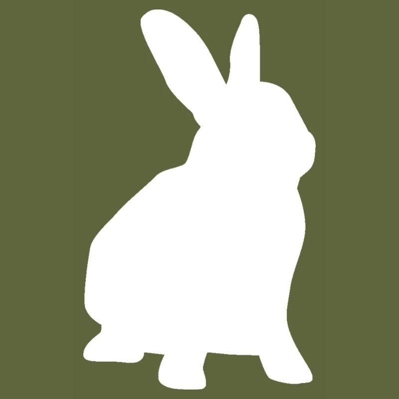 Rabbit Bunny Bunny Rabbit Easter Bunny