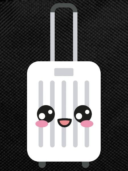 Icing luggage suitcase Kawaii