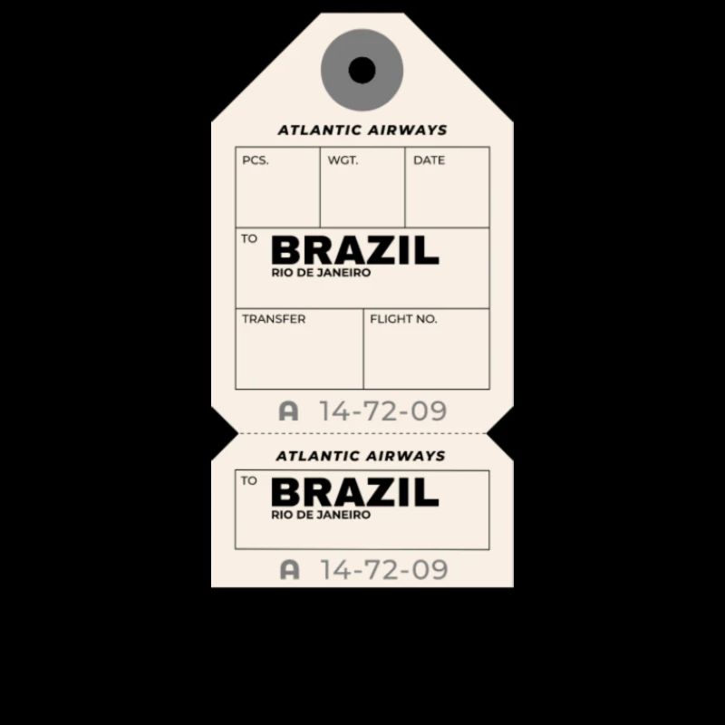 Billet d’avion Brésil