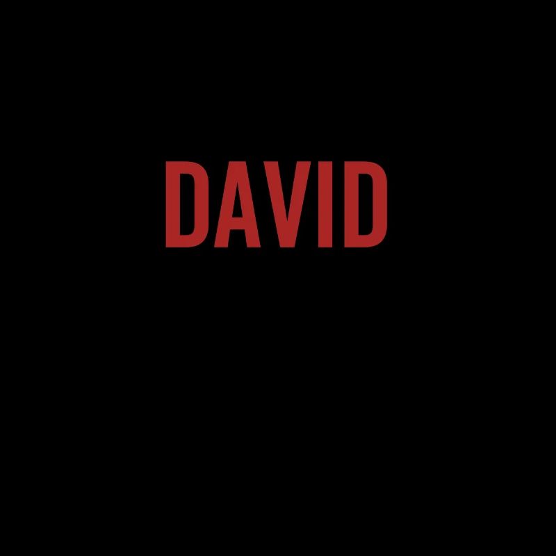 No David No Life