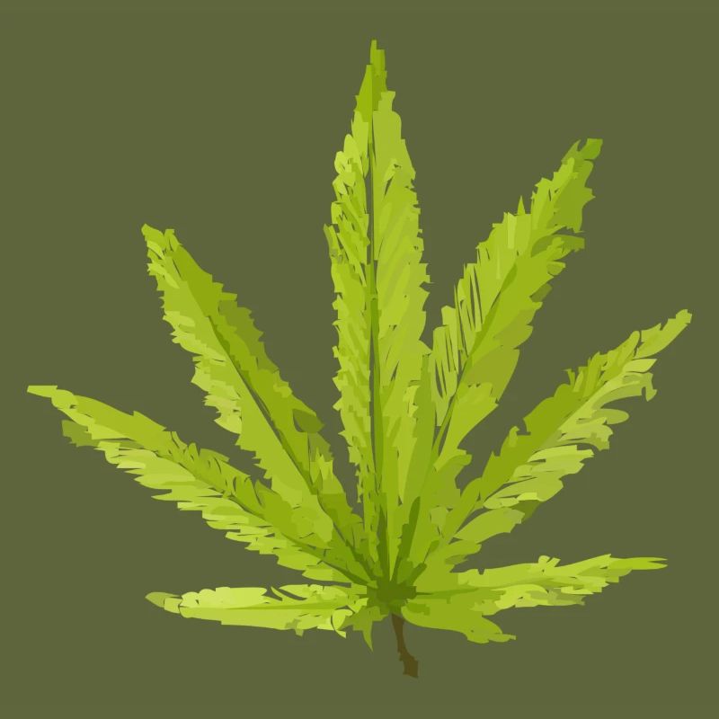 Hemp Leaf