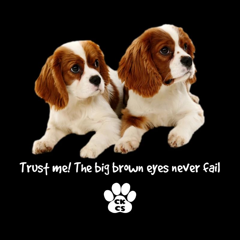 The big brown eyes