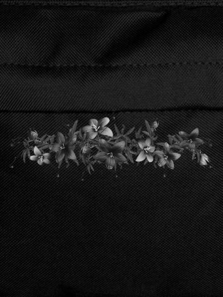 Fleurs noires