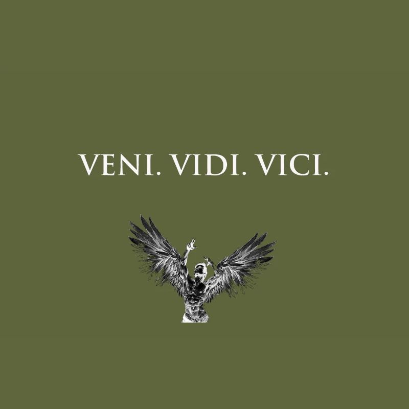 Veni Vidi Vici