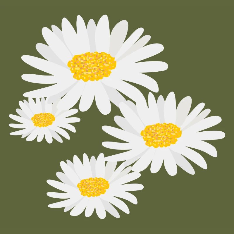 Blume Gänseblümchen