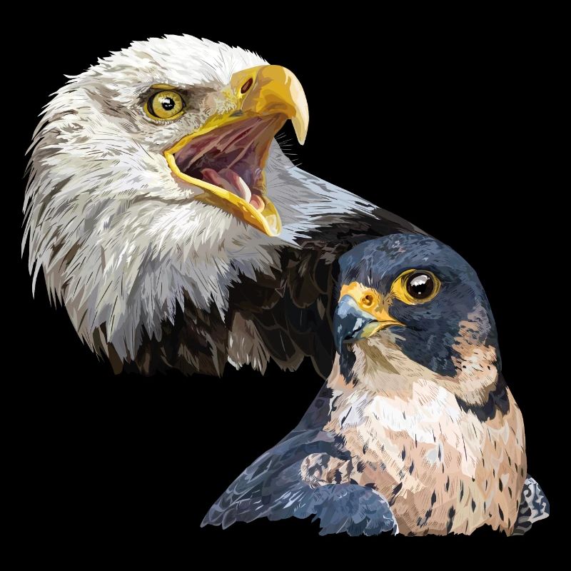 bald eagle and peregrine falcon