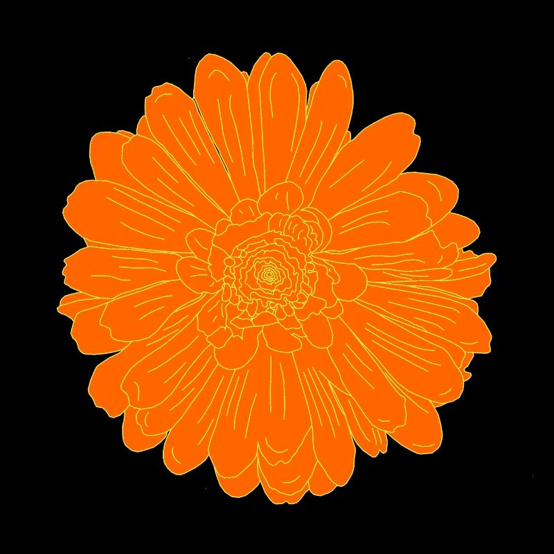 Fleur Orange Classique